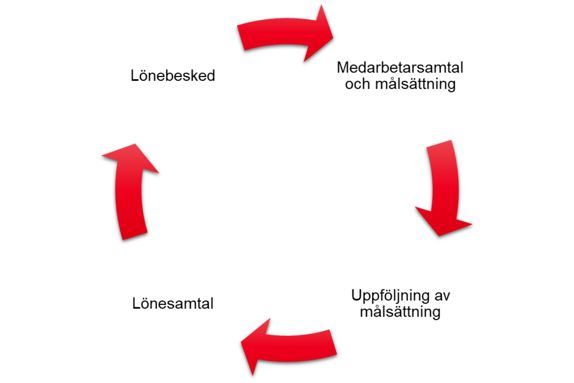 illustration av mål och lönesamtal cirkel