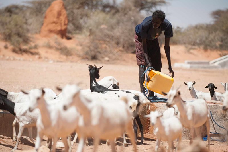 En man hämtar vatten ur en brunn i Somalia.